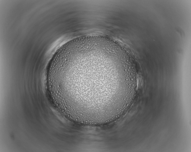 X0000114510339200911091134