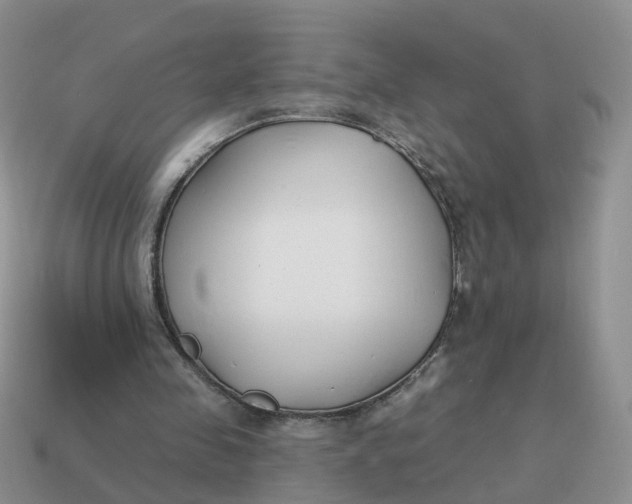 X0000114510341200911091134