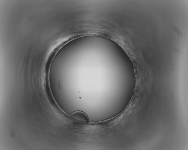 X0000114510342200911091134