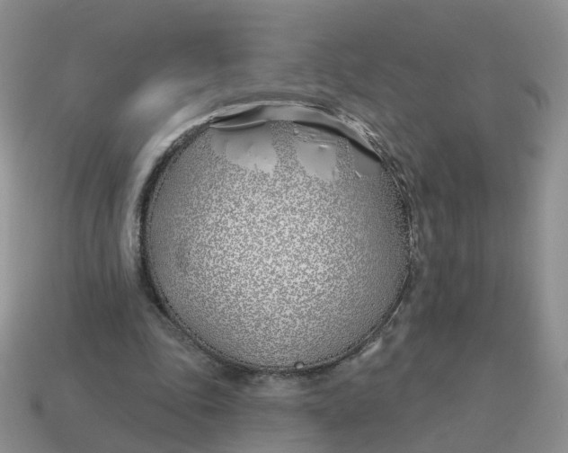 X0000114510343200911091134