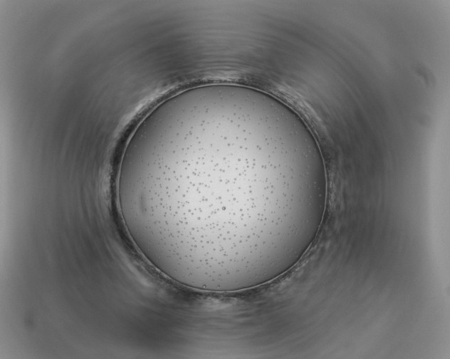 X0000114510346200911091134