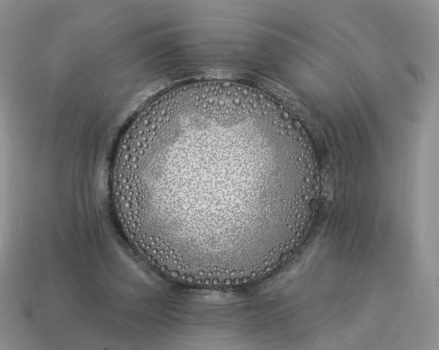 X0000114510347200911091134