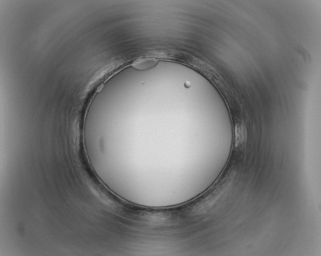 X0000114510349200911091134