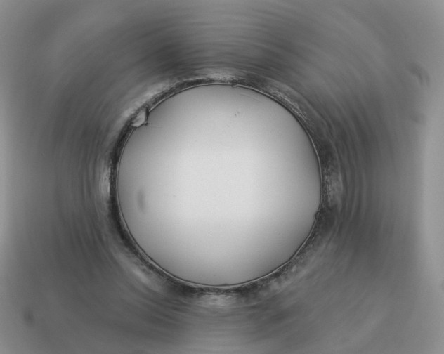 X0000114510350200911091134