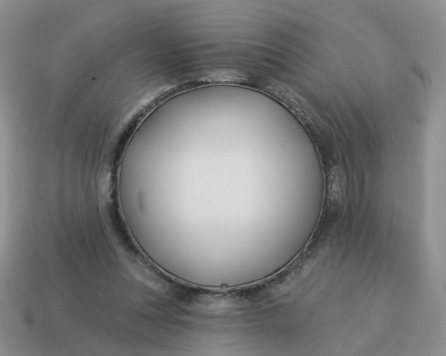 X0000114510351200911091134