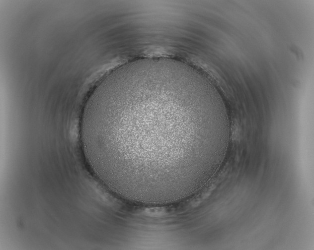 X0000114510353200911091134