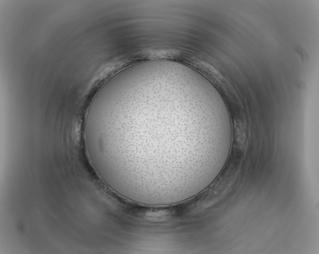 X0000114510357200911091135