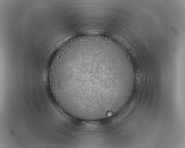 X0000114510359200911091135