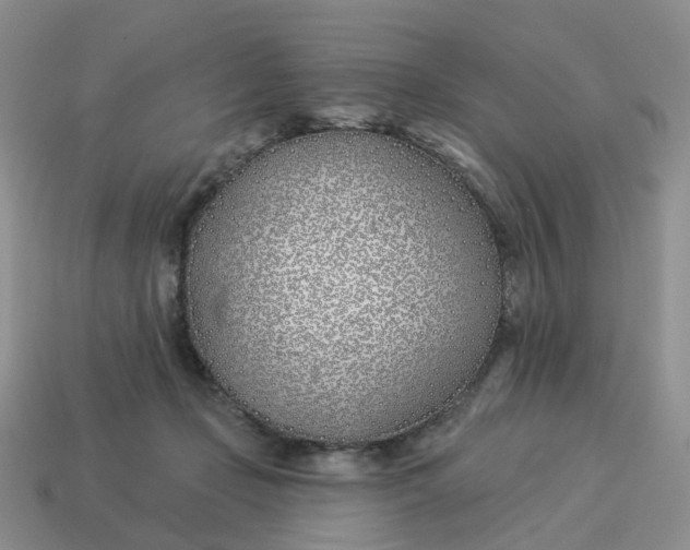 X0000114510365200911091135