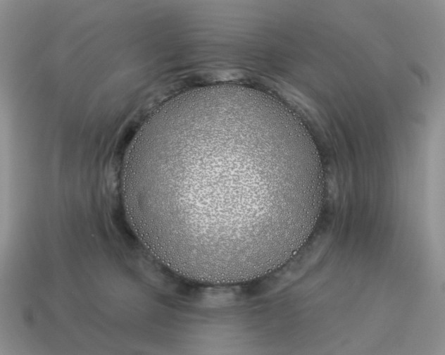 X0000114510373200911091135