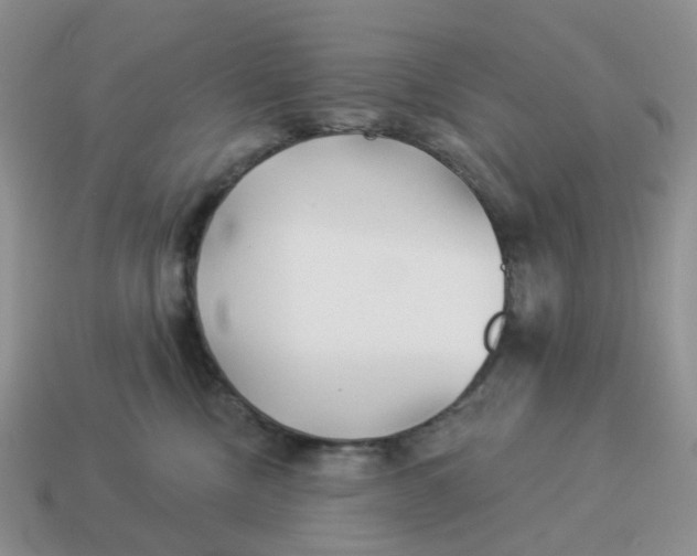 X0000114510378200911091135