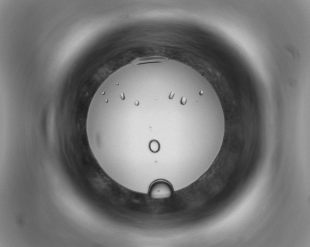 X0000114510382200911091135