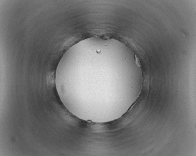 X0000114510383200911091135