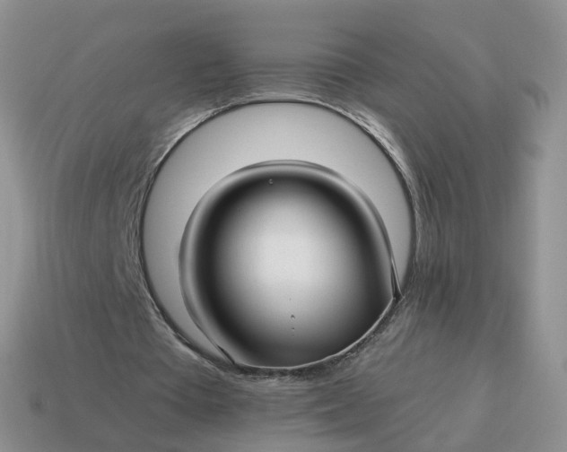 X0000114510385200911091134