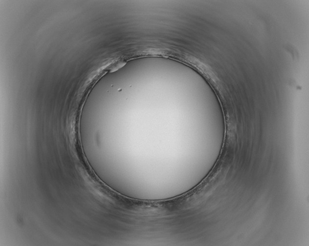 X0000114510386200911091134