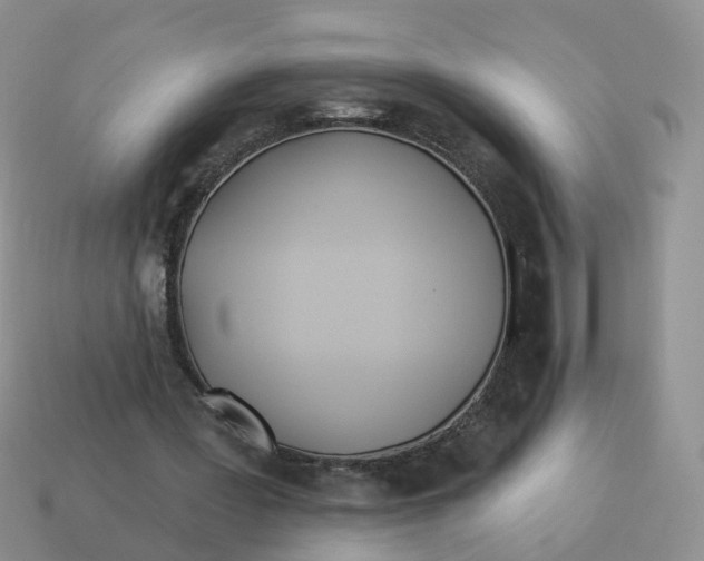 X0000114510387200911091134