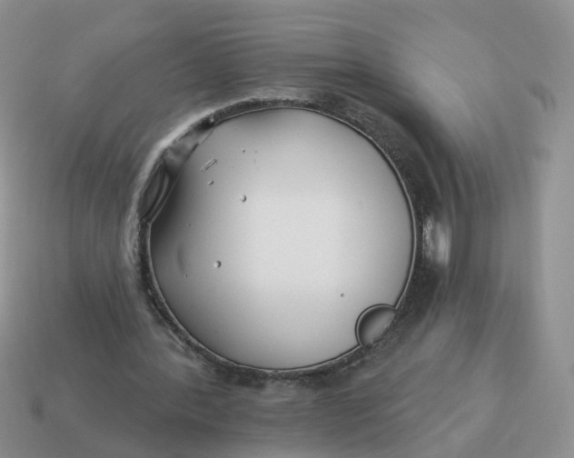 X0000114510388200911091134