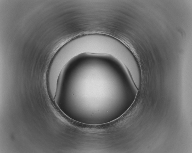 X0000114510389200911091134