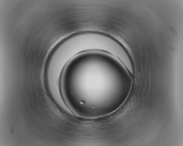 X0000114510391200911091134