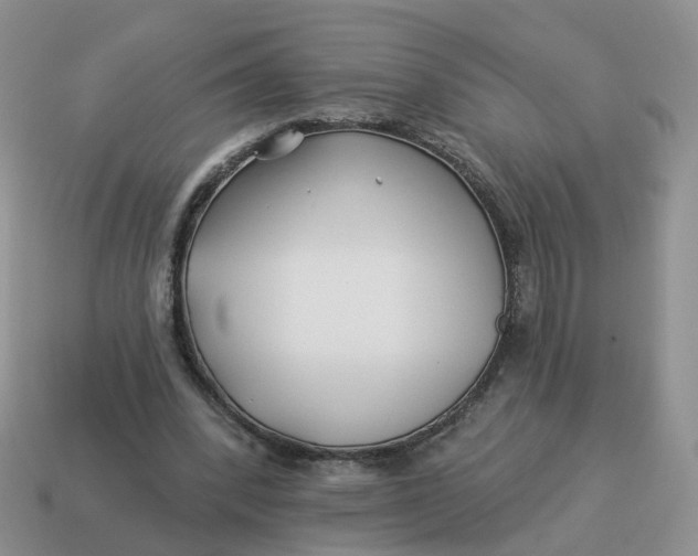 X0000114510392200911091134