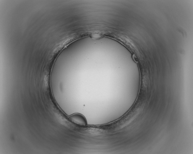 X0000114510393200911091134