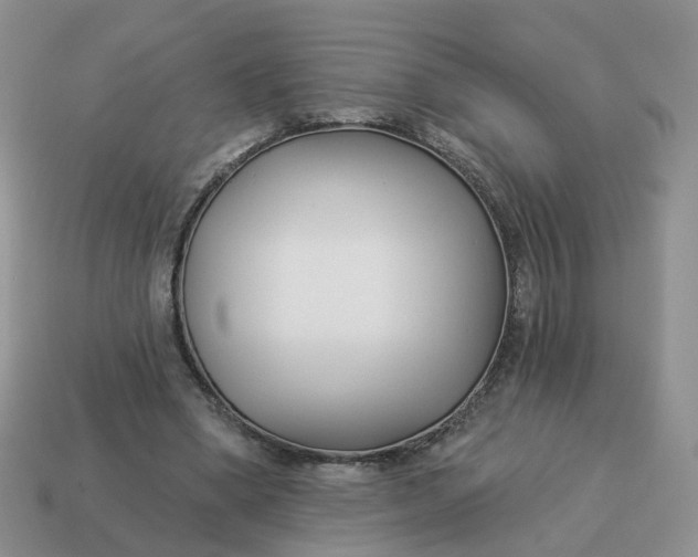 X0000114510394200911091134