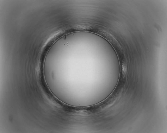 X0000114510396200911091134