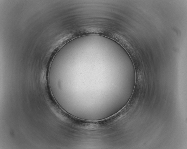 X0000114510398200911091134