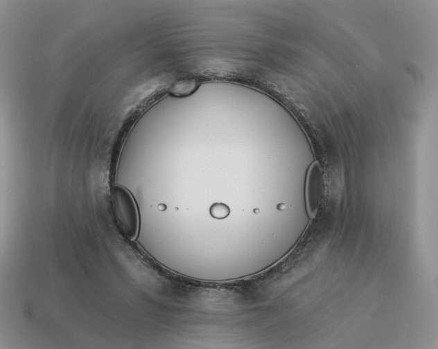 X0000114510399200911091134