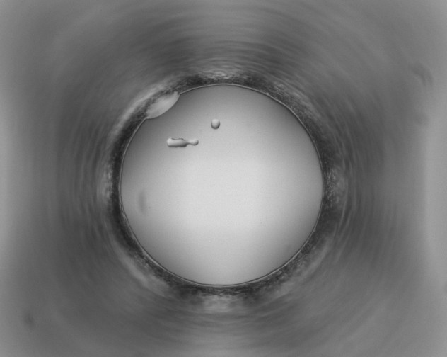 X0000114510400200911091134