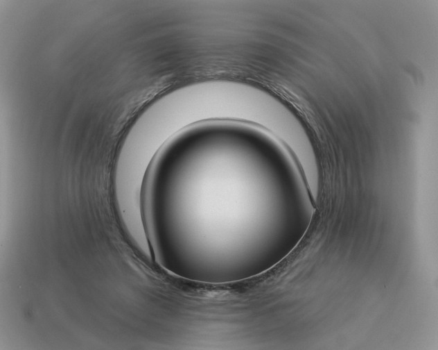 X0000114510401200911091134