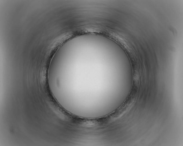 X0000114510402200911091134