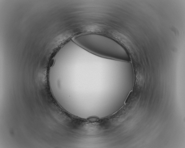 X0000114510403200911091134