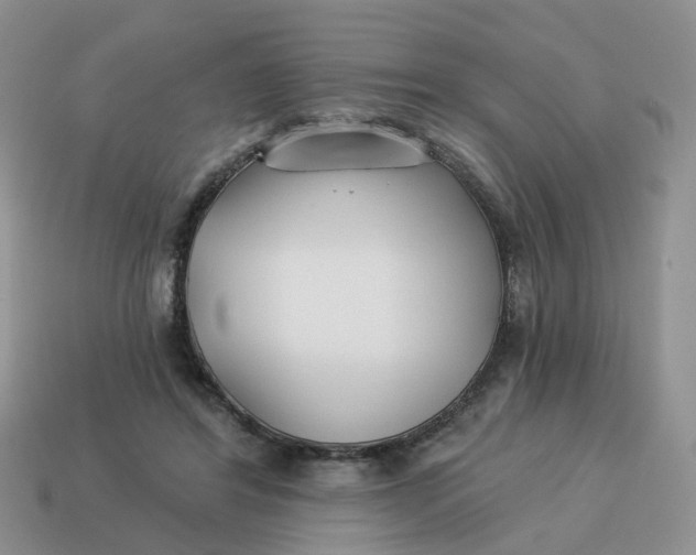 X0000114510404200911091134