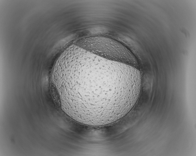 X0000114510405200911091134