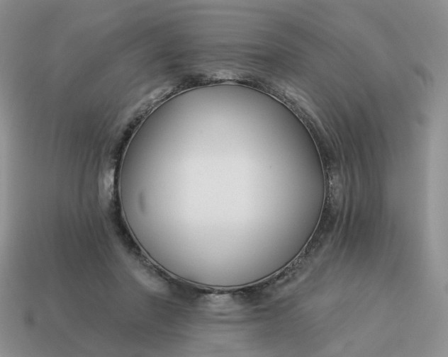 X0000114510406200911091134