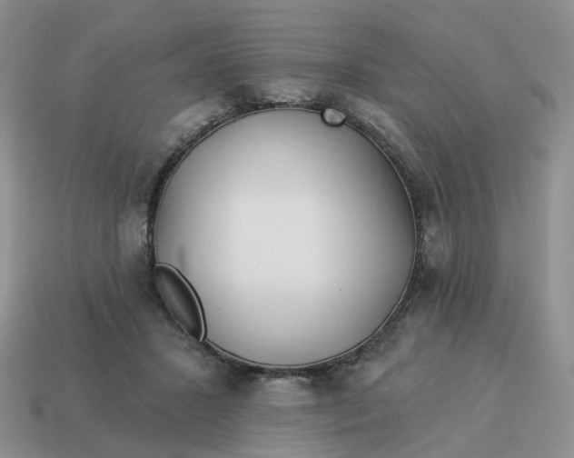 X0000114510407200911091134