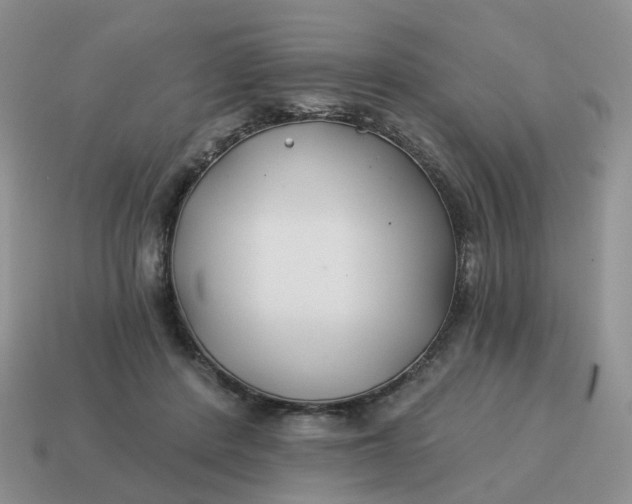 X0000114510408200911091134