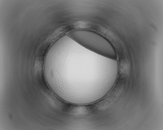 X0000114510409200911091134