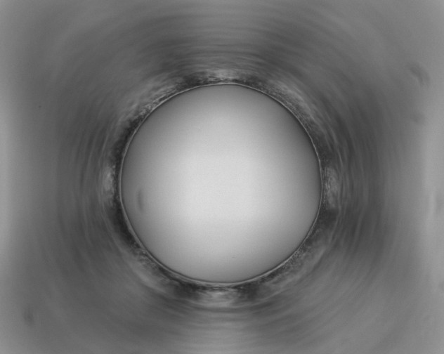 X0000114510410200911091134