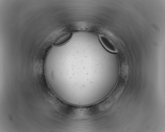 X0000114510413200911091134