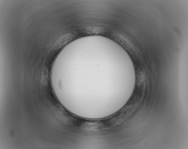 X0000114510414200911091134