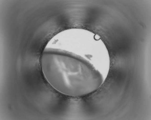 X0000114510415200911091134