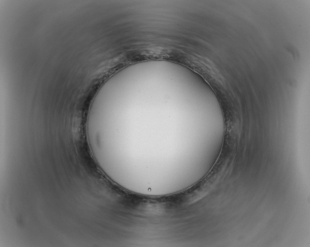 X0000114510416200911091134