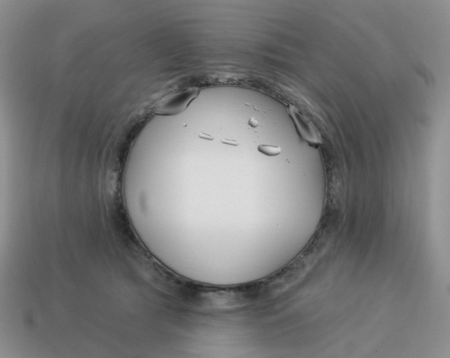 X0000114510417200911091134