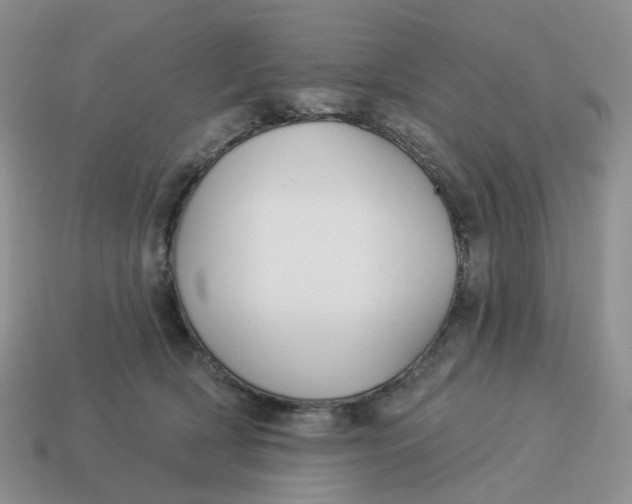 X0000114510418200911091134