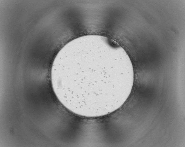 X0000114510419200911091134