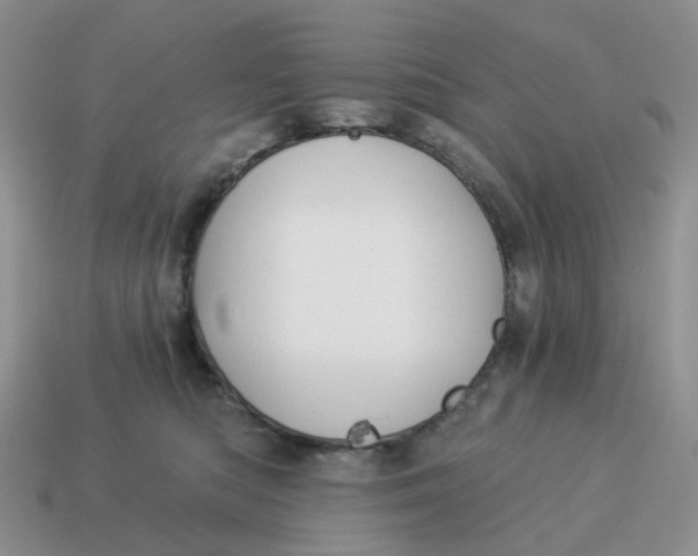 X0000114510422200911091134