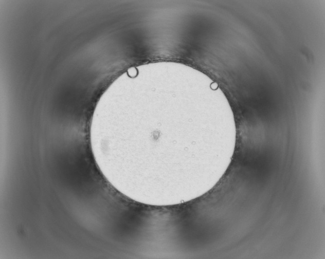 X0000114510423200911091134