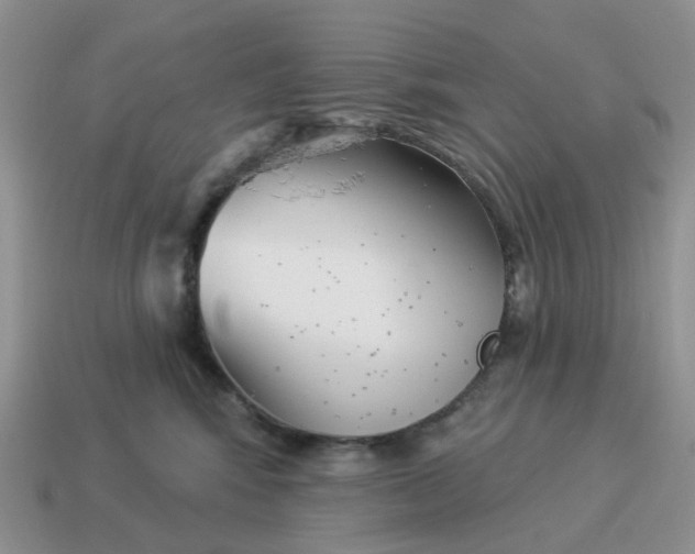 X0000114510424200911091134